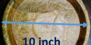 10 Inch Sal Leaf Plates