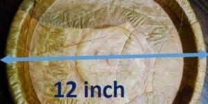 12 Inch Sal Leaf Plates