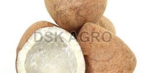 Dried Copra Coconut
