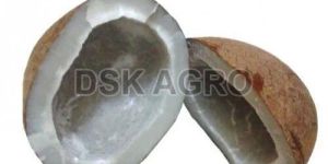 Edible Coconut Copra