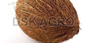 Fresh Brown Coconut