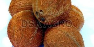 Fully Husked Brown Coconut