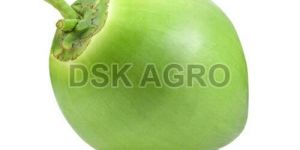 Green Tender Coconut