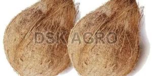 Semi Husked Brown Coconut