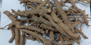 Sarpagandha Roots