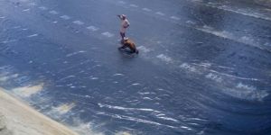 LDPE Geomembrane Sheets