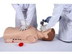 CPR1950S- Half Body CPR Manikin - Voice Indication