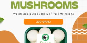 Fresh Button Mushroom