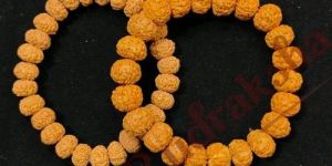 7 Mukhi Pathri Rudraksha Bracelet