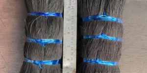 Black Dyed Bristle Coir Fibre