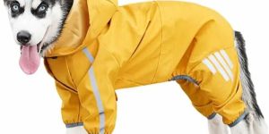 Dog Rain Coat