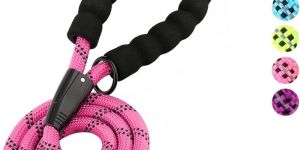 Dog Rope Leashes