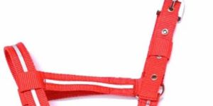KLC Adjustable Nylon Livestock Cattle Halter
