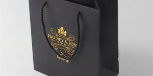 Customized Printed Paper Carry Bag