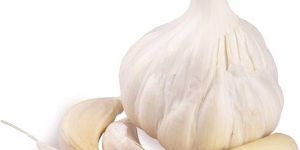 Fresh Garlic