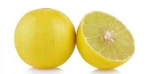Fresh Lemon