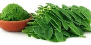 Moringa Powder