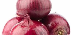 Organic Red Onion