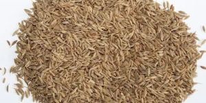 Cumin Seeds