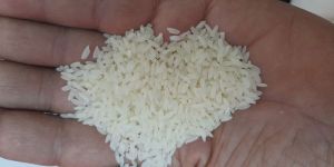 Special Kalanamak Rice