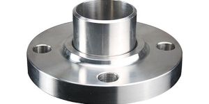 Stainless Steel Flanged Disc