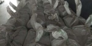 Zipper Packaging Bag