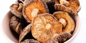 Dehydrated Mushrooms