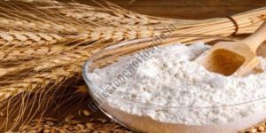 Wheat Flour