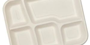 5 Compartment Sugarcane Bagasse Tray