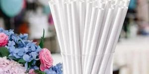 6 Mm White Paper Drinking Straws