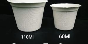 Sugarcane Bagasse Tea Cups