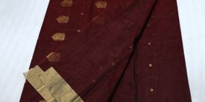 Zari Border Saree