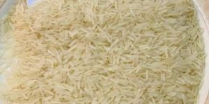 1121 Golden Sella Rice