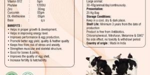 Capmin Cattle Feed Supplement