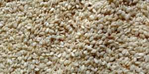Sesame Seeds