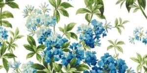 Georgette Digital Printed Fabric