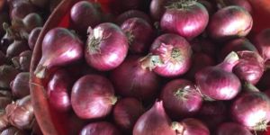 Fresh Red Onion