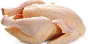 Fresh Broiler Chicken