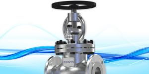 Globe Valve