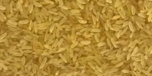 Golden Non Basmati Rice