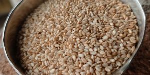 Organic Sesame Seeds