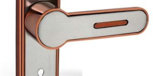 Deniel Stainless Steel Mortise Handle