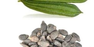 Ridge Gourd Seed