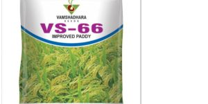 VS-66 Improved Paddy Seeds