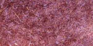 Iranian Saffron