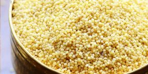 Foxtail Millet