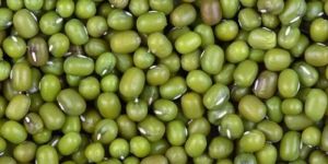 Green Moong