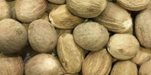 Nutmeg
