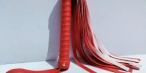 Red Dog Training Leather Whip