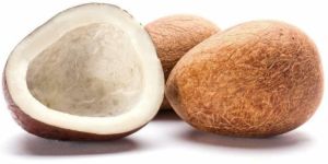 Dried Natural Coconut